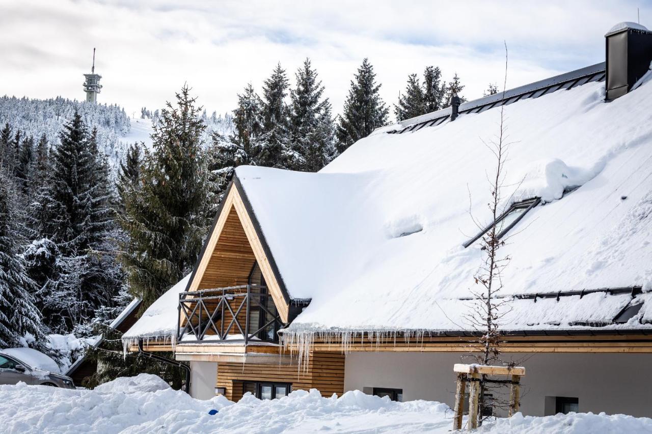 Ski Chalet Klínovec Loučná pod Klínovcem Exteriér fotografie