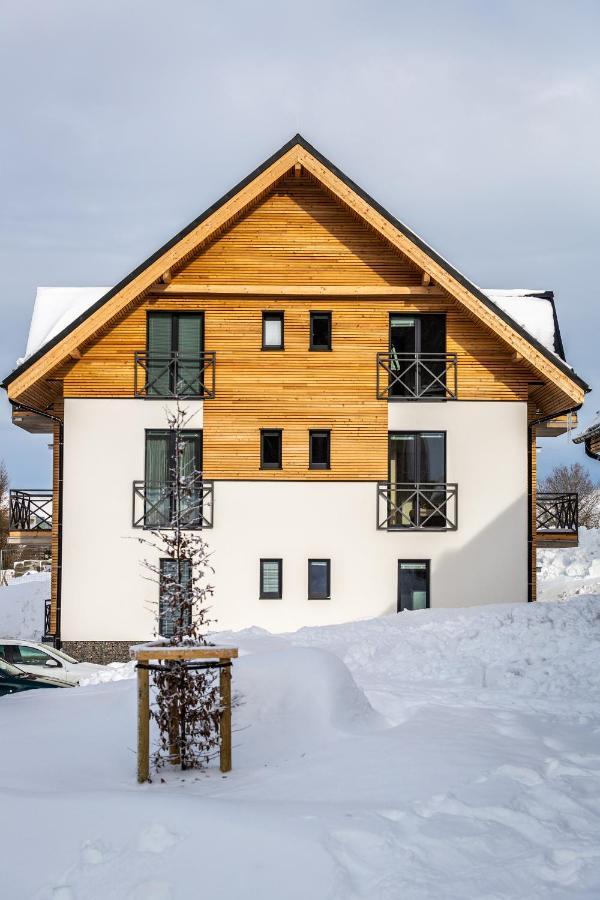 Ski Chalet Klínovec Loučná pod Klínovcem Exteriér fotografie