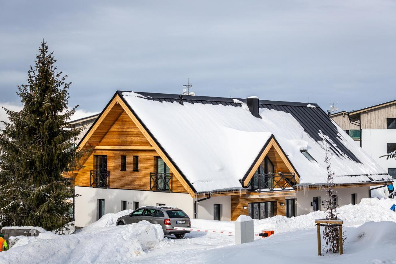 Ski Chalet Klínovec Loučná pod Klínovcem Exteriér fotografie