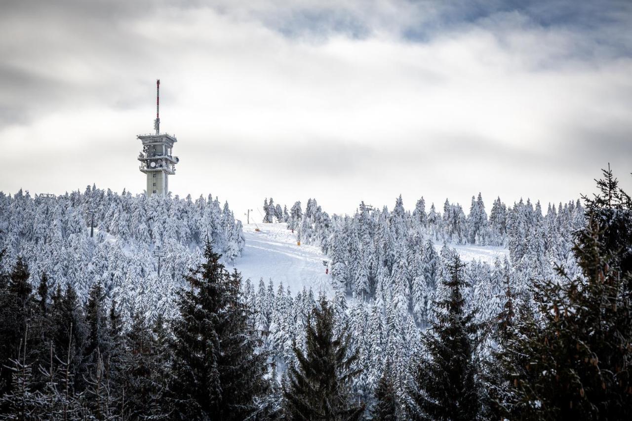 Ski Chalet Klínovec Loučná pod Klínovcem Exteriér fotografie
