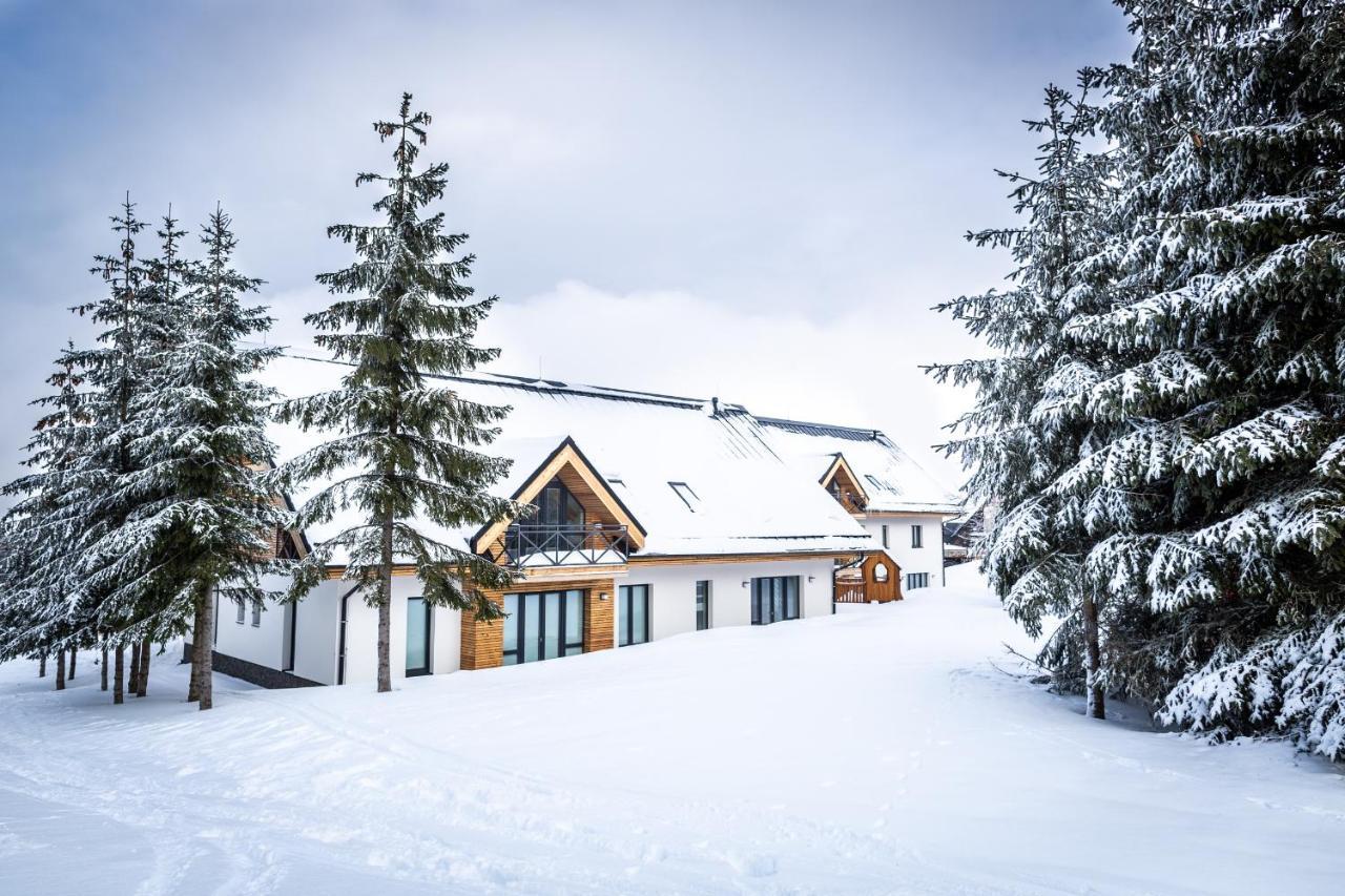 Ski Chalet Klínovec Loučná pod Klínovcem Exteriér fotografie