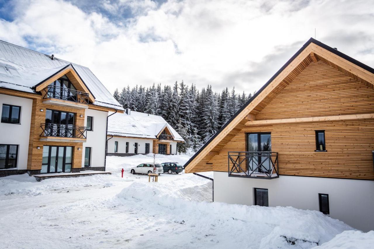 Ski Chalet Klínovec Loučná pod Klínovcem Exteriér fotografie