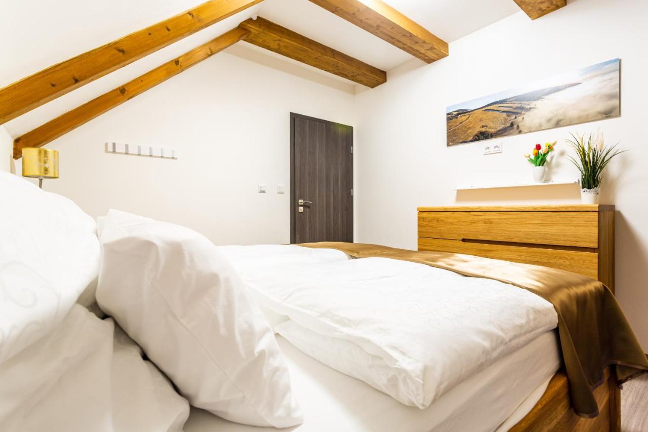 Ski Chalet Klínovec Loučná pod Klínovcem Exteriér fotografie